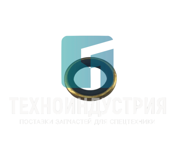 Шайба 10 (805301409) 805301409 Техноиндустрия Челябинск